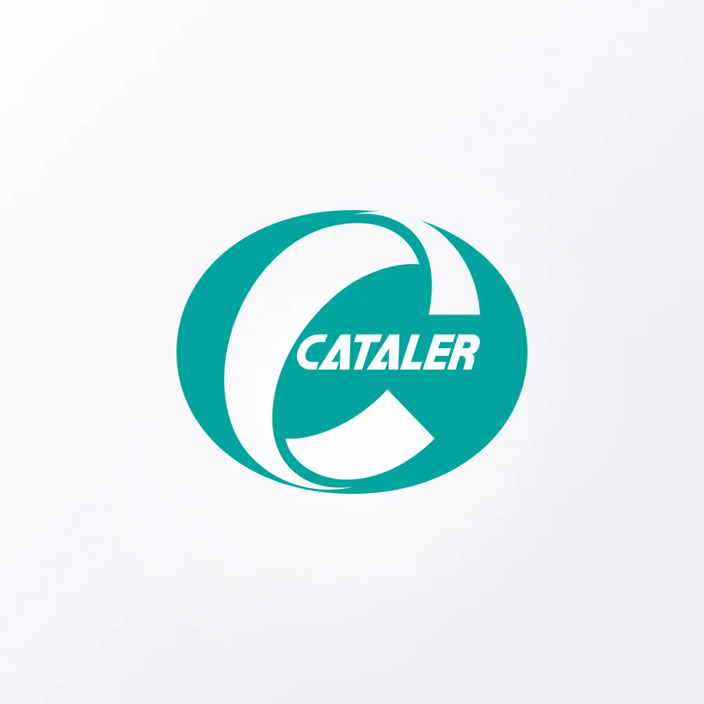 CATALER INDIA AUTO PARTS PVT LTD